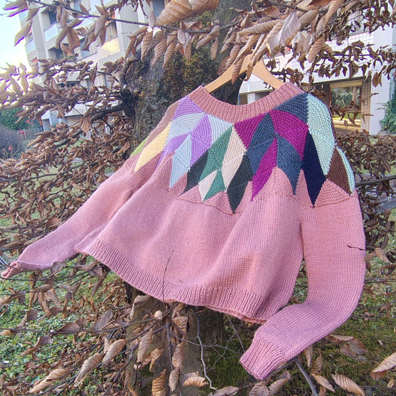Intarsia - Sweter
2