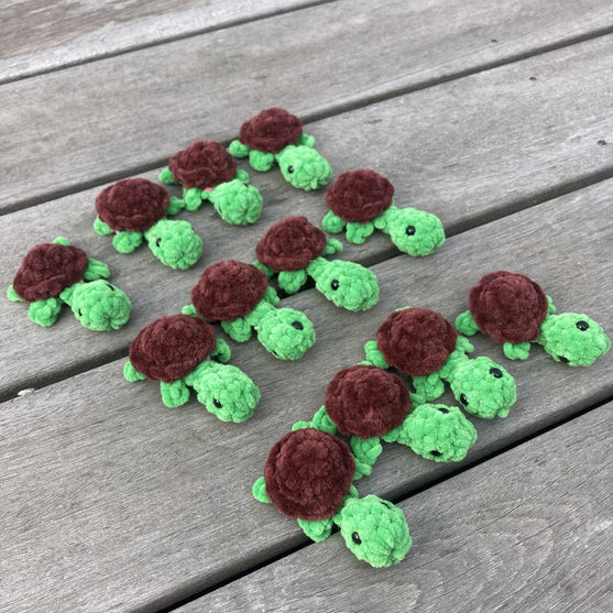 Rainbow Turtles - Gra pamięciowa
12