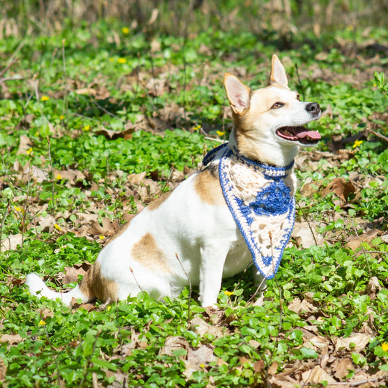 Gina - Bandana dla psów
2