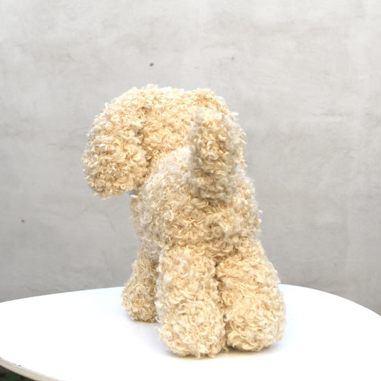 Doodle Dog
4