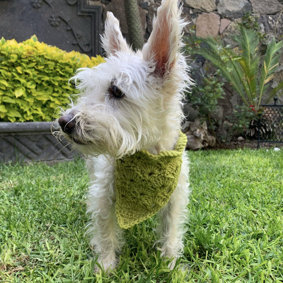 Cuddly Wrap - Bandana dla psów
4