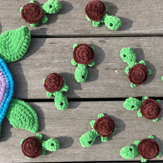 Rainbow Turtles - Gra pamięciowa
8