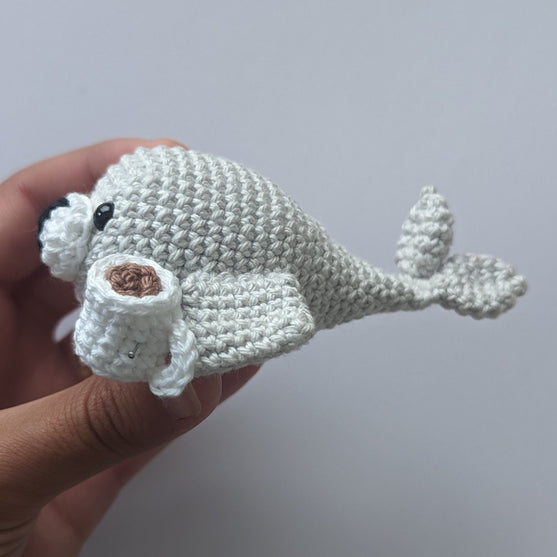 Charlie - Foczka pijąca kakao
2