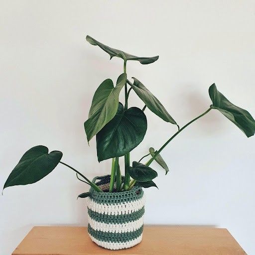 June - Osłonka na doniczkę
3