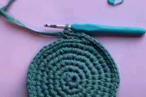 Crocheting in the back loop (only) (bl / blo)