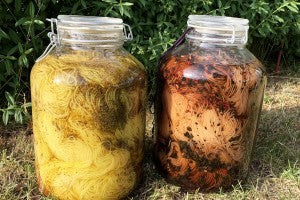 Solar dyeing 101