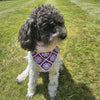 

Millie’s - Bandana dla psa
2