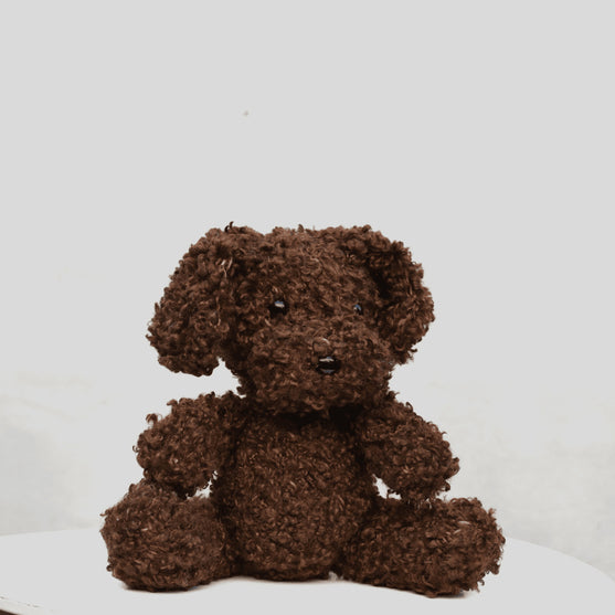 

Cavapoo
1