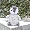 

Pingwinek Pippo
1