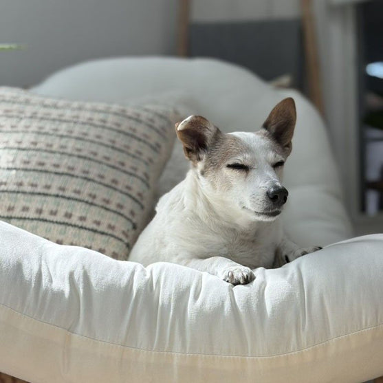 

Homebody - Poszewka na poduszkę
6