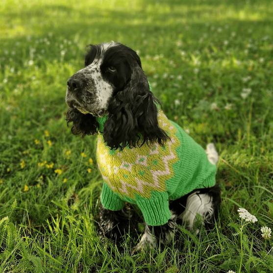 

Cocker Spaniel - Sweterek dla psa
2